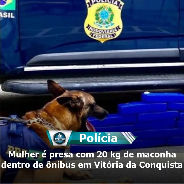 Mulher Presa Kg De Maconha Dentro De Nibus Em Vit Ria Da