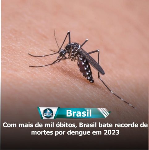 mais de mil óbitos Brasil bate recorde de mortes por dengue em